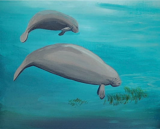 Manatee and Baby