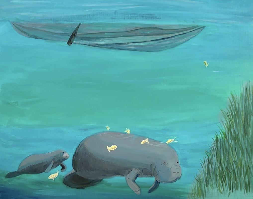 Manatee Baby and Kayak